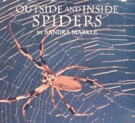 Outside Spiders