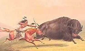 Comanche Buffalo Hunt
